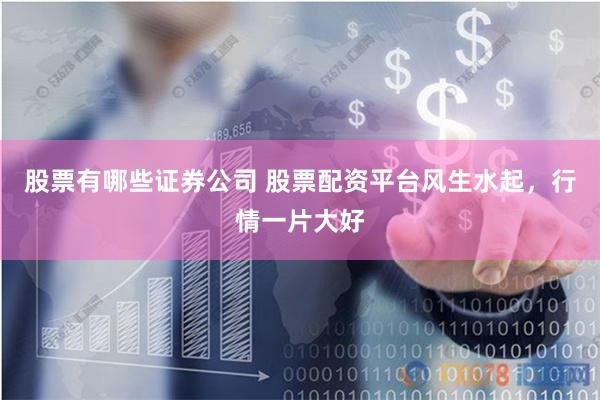 股票有哪些证券公司 股票配资平台风生水起，行情一片大好