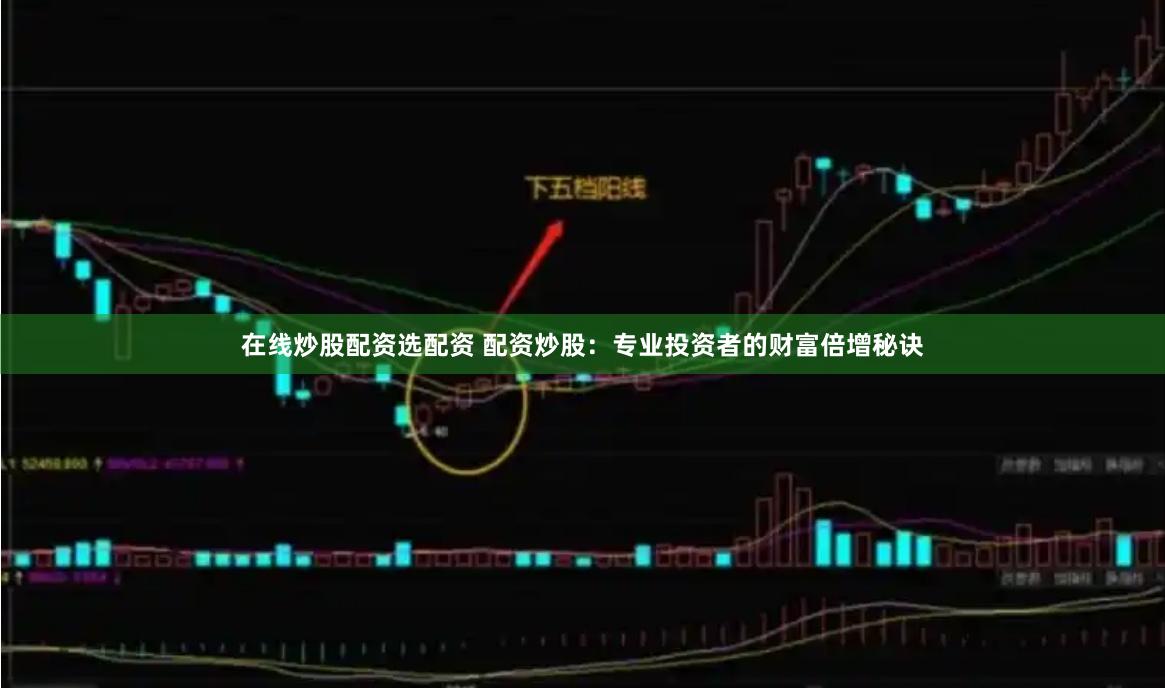 在线炒股配资选配资 配资炒股：专业投资者的财富倍增秘诀