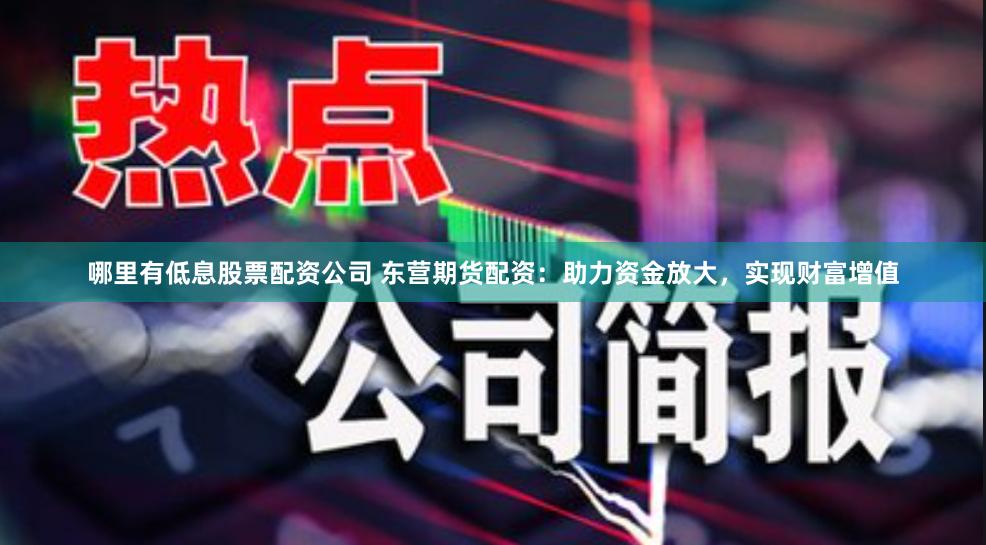哪里有低息股票配资公司 东营期货配资：助力资金放大，实现财富增值