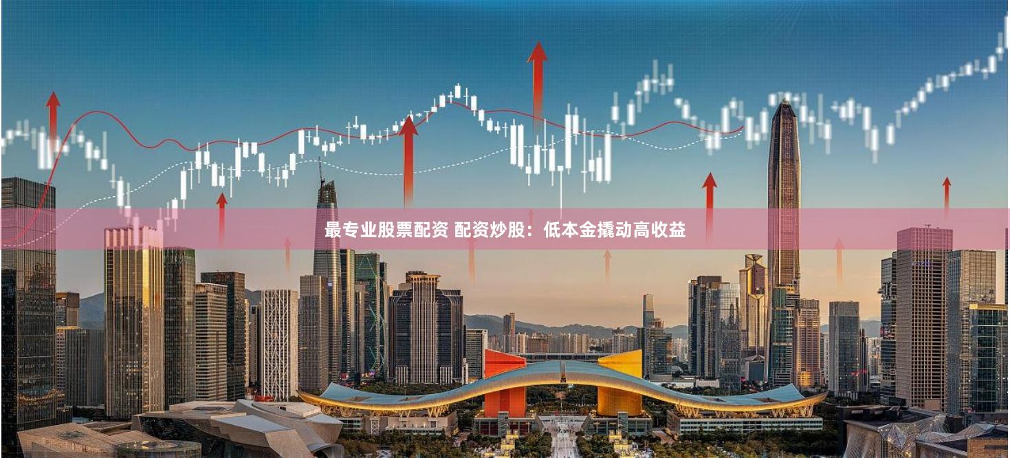 最专业股票配资 配资炒股：低本金撬动高收益