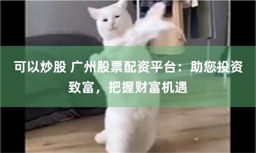 可以炒股 广州股票配资平台：助您投资致富，把握财富机遇