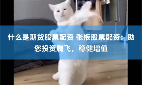 什么是期货股票配资 张掖股票配资：助您投资腾飞，稳健增值